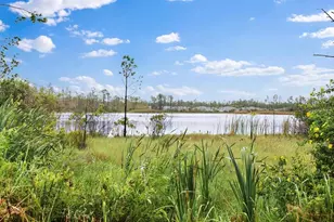 21 Mahogany Wy, Palm Coast, FL 32164 - Photo 30