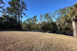 100 Webster Ln, Palm Coast, FL 32164 - Photo 34