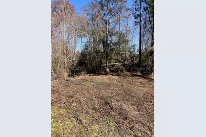 1881 Hazelnut Street, Bunnell, FL 32110 - Photo 4