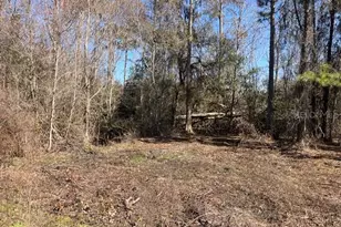 1881 Hazelnut St, Bunnell, FL 32110 - Photo 1