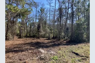 1881 Hazelnut Street, Bunnell, FL 32110 - Photo 2