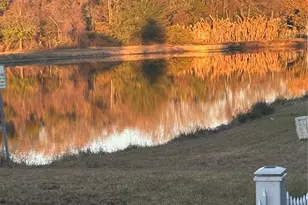 7903 Oakstone Ct, Orlando, FL 32822 - Photo 12