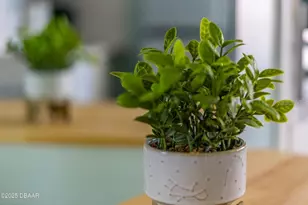 2301 S Atlantic Ave, Daytona Beach, FL 32118 - Photo 12