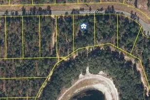 115 Westwood Ct, Interlachen, FL 32148 - Photo 1