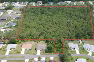 Kathleen Trail, Palm Coast, FL 32164 - Photo 1