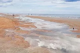 1415 Ocean Shore Blvd, Ormond Beach, FL 32176 - Photo 66