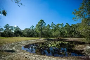 20963 E Colonial Dr, Christmas, FL 32709 - Photo 34