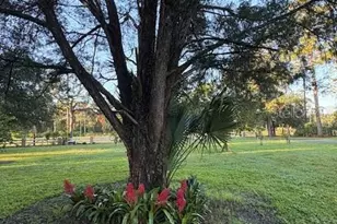 20963 E Colonial Dr, Christmas, FL 32709 - Photo 48