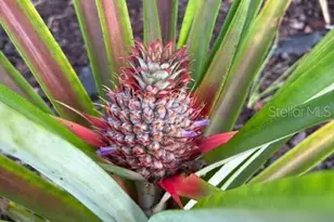 20963 E Colonial Dr, Christmas, FL 32709 - Photo 44