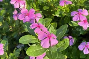 20963 E Colonial Dr, Christmas, FL 32709 - Photo 58