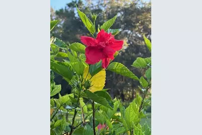 20963 E Colonial Drive, Christmas, FL 32709 - Photo 54