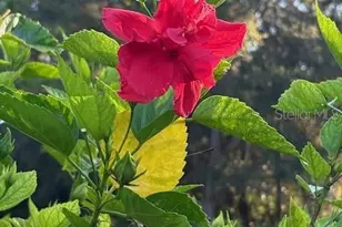 20963 E Colonial Dr, Christmas, FL 32709 - Photo 54