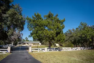 20963 E Colonial Dr, Christmas, FL 32709 - Photo 2