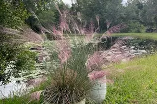 20963 E Colonial Dr, Christmas, FL 32709 - Photo 72