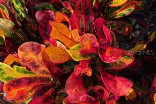 20963 E Colonial Dr, Christmas, FL 32709 - Photo 56