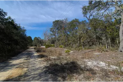 206 Tall Pine Trail, Satsuma, FL 32189 - Photo 6