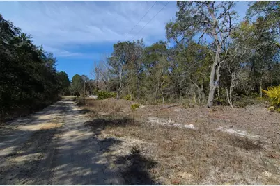 206 Tall Pine Trail, Satsuma, FL 32189 - Photo 4