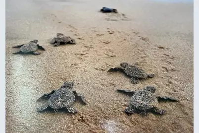 16 Viscaya Drive #204, Palm Coast, FL 32137 - Photo 6