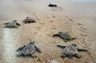 16 Viscaya Dr, Palm Coast, FL 32137 - Photo 6