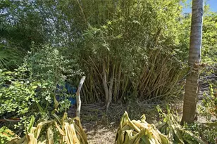 350 Sunset Dr, Saint Augustine, FL 32084 - Photo 38