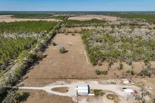 9797 Co Rd 305, Bunnell, FL 32110 - Photo 60