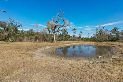 9797 County Road 305, Bunnell, FL 32110 - Photo 54