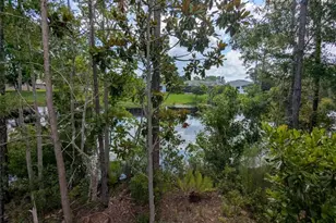 52 Bud Hollow Dr, Palm Coast, FL 32137 - Photo 34