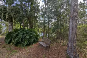 52 Bud Hollow Dr, Palm Coast, FL 32137 - Photo 66