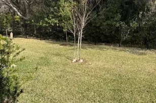 206 Misty Harbor Trace, Palm Coast, FL 32137 - Photo 22