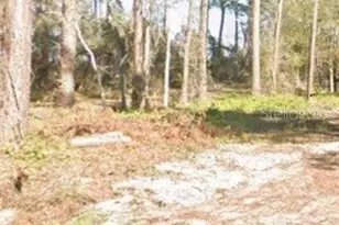 [Address not provided], Hastings, FL 32145 - Photo 1