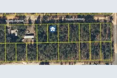 111 Yeatts Avenue, Interlachen, FL 32148 - Photo 1