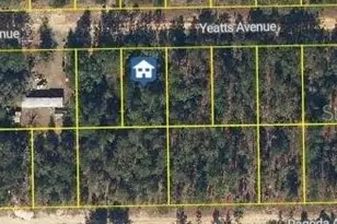 111 Yeatts Ave, Interlachen, FL 32148 - Photo 1