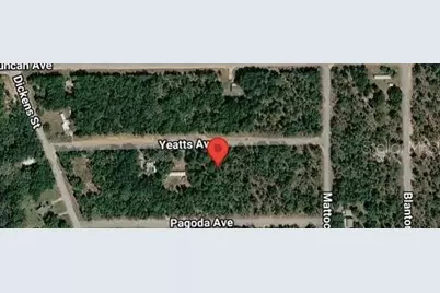 111 Yeatts Avenue, Interlachen, FL 32148 - Photo 2