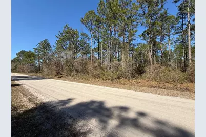 4664 Clove Avenue, Bunnell, FL 32110 - Photo 2