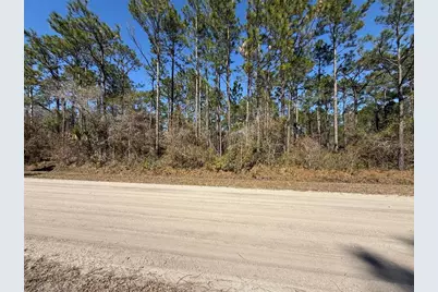 4664 Clove Avenue, Bunnell, FL 32110 - Photo 4