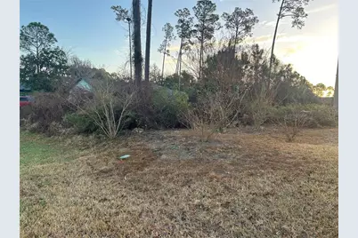 9 Peyy Place, Palm Coast, FL 32164 - Photo 1