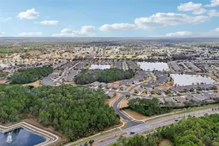 1433 Areca Palm Dr, Port Orange, FL 32128 - Photo 62