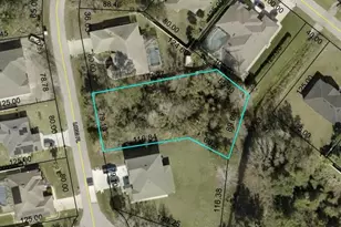 19 Long Pl, Palm Coast, FL 32137 - Photo 66