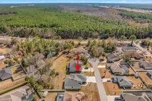 19 Long Pl, Palm Coast, FL 32137 - Photo 64