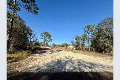 47 Bahia Court Track, Ocala, FL 34472 - Photo 2