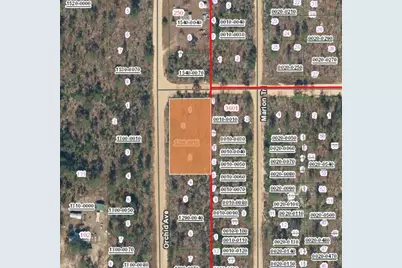 Xx Orchid Avenue, Interlachen, FL 32148 - Photo 2
