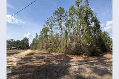 4385 Bondarenko Road, Keystone Heights, FL 32656 - Photo 4