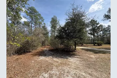 4385 Bondarenko Road, Keystone Heights, FL 32656 - Photo 8
