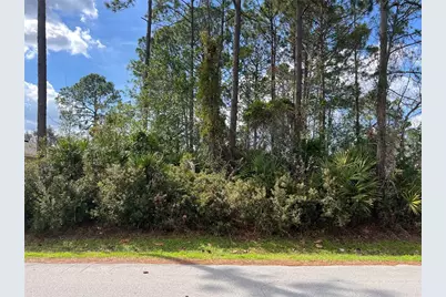 68 Birchwood Drive, Palm Coast, FL 32137 - Photo 4