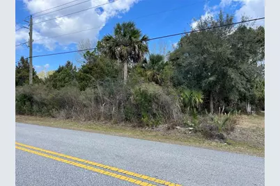 164 Bird Of Paradise Drive, Palm Coast, FL 32137 - Photo 1