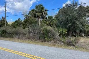 164 Bird of Paradise Dr, Palm Coast, FL 32137 - Photo 1