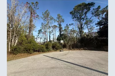 3 Kalmar Place, Palm Coast, FL 32164 - Photo 2