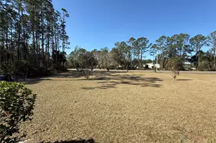 49 Brunswick Ln, Palm Coast, FL 32137 - Photo 14