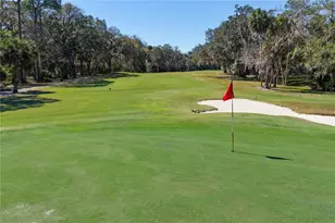 24 Pinehurst Pl, Palm Coast, FL 32137 - Photo 52