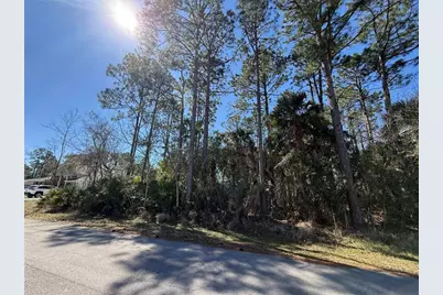 28 Phoenix Lane, Palm Coast, FL 32164 - Photo 4